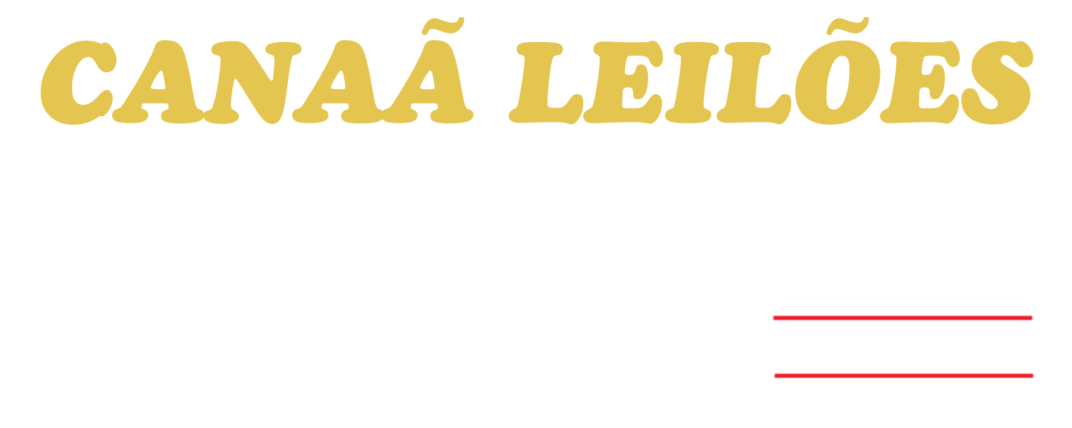 LOGO LEILÕES (1).png